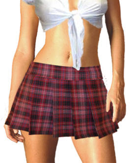 Wine Plaid Skirt